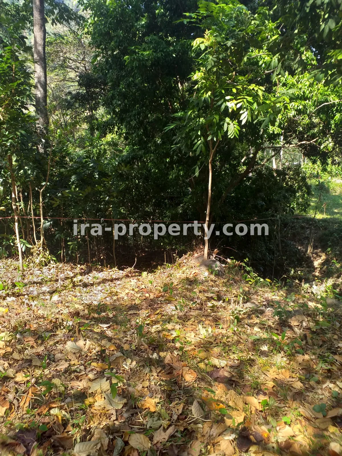 Tanah · Senggigi Lombok Barat · foto 5 dari 8 Tanah Dijual Dekat Senggigi, Kawasan Wisata Kerandangan - 369 - 5
