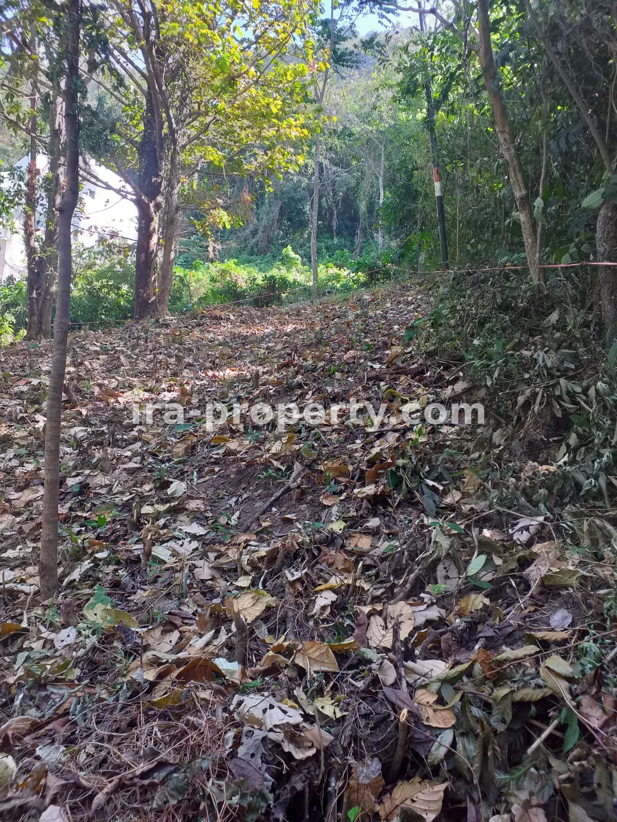 Tanah Dijual Dekat Senggigi, Kawasan Wisata Kerandangan - 369 - 6