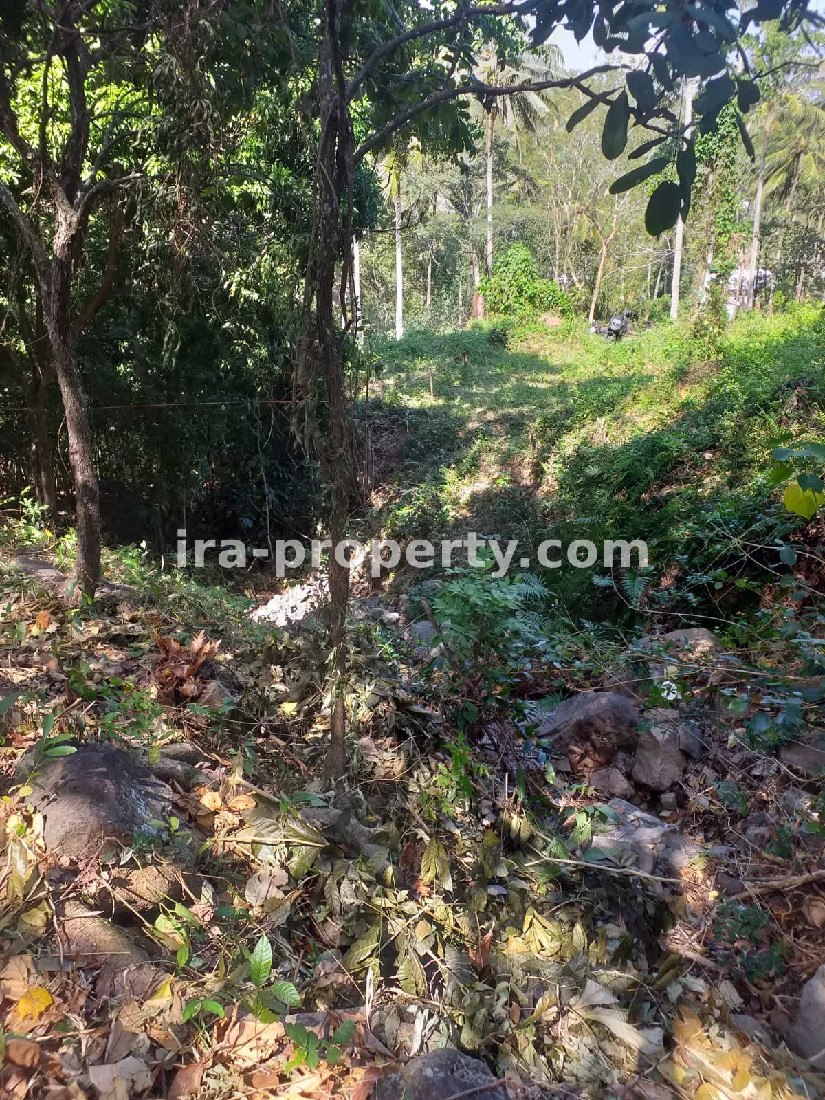 Tanah Dijual Dekat Senggigi, Kawasan Wisata Kerandangan - 369 - 8