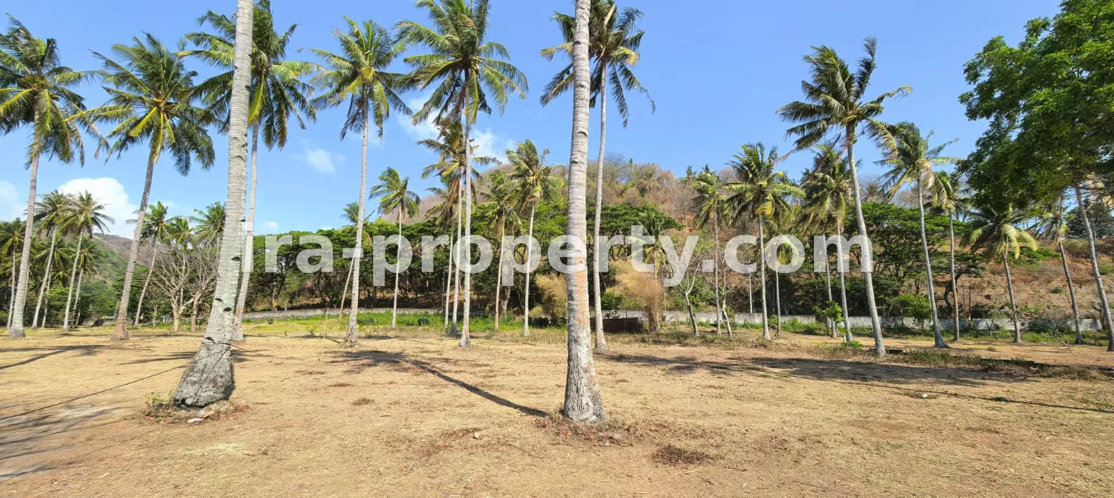 Tanah Pantai Utama Senggigi – 3.000 m² Blok Resort Mewah dengan Pantai Pasir Putih Pribadi - 397-2 - 9
