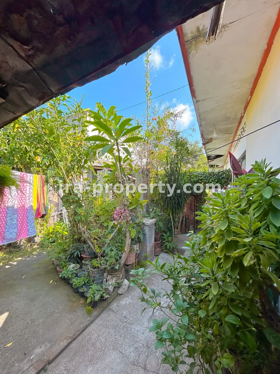 House for sale near Catur Street, Warga Mataram neighborhood - 1049 - 9
