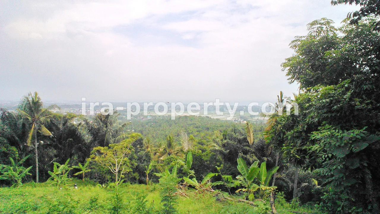 Tanah · Area Lombok Selatan · foto 2 dari 5 Tanah Indah untuk Dijual di Penyawangan - 368 - 2