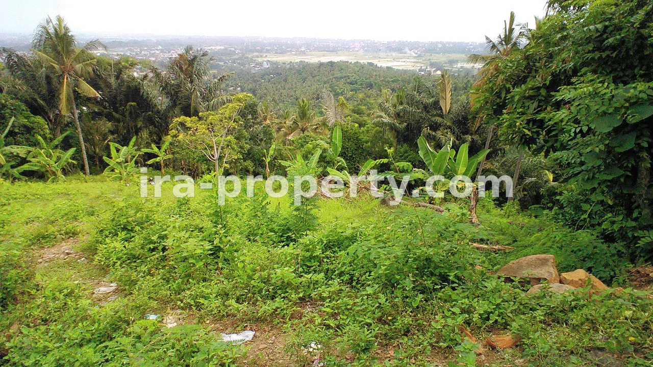 Tanah · Area Lombok Selatan · foto 3 dari 5 Tanah Indah untuk Dijual di Penyawangan - 368 - 3