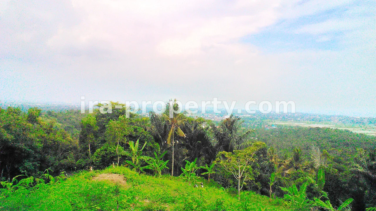 Tanah · Area Lombok Selatan · foto 1 dari 5 Tanah Indah untuk Dijual di Penyawangan - 368 - 1