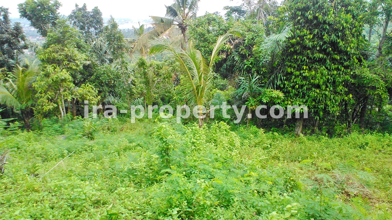 Tanah · Area Lombok Selatan · foto 4 dari 5 Tanah Indah untuk Dijual di Penyawangan - 368 - 4