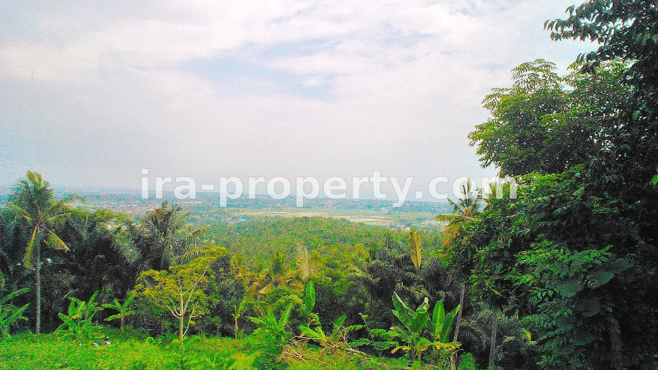 Tanah · Area Lombok Selatan · foto 5 dari 5 Tanah Indah untuk Dijual di Penyawangan - 368 - 5