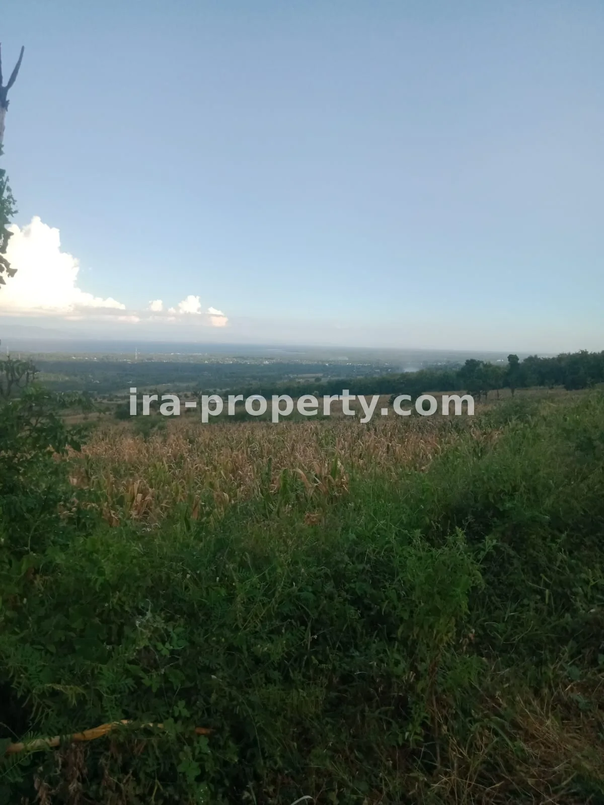 Land · East Lombok Area · photo 2 of 2 Land with ocean views in Pringgabaya East Lombok - 144 - 2