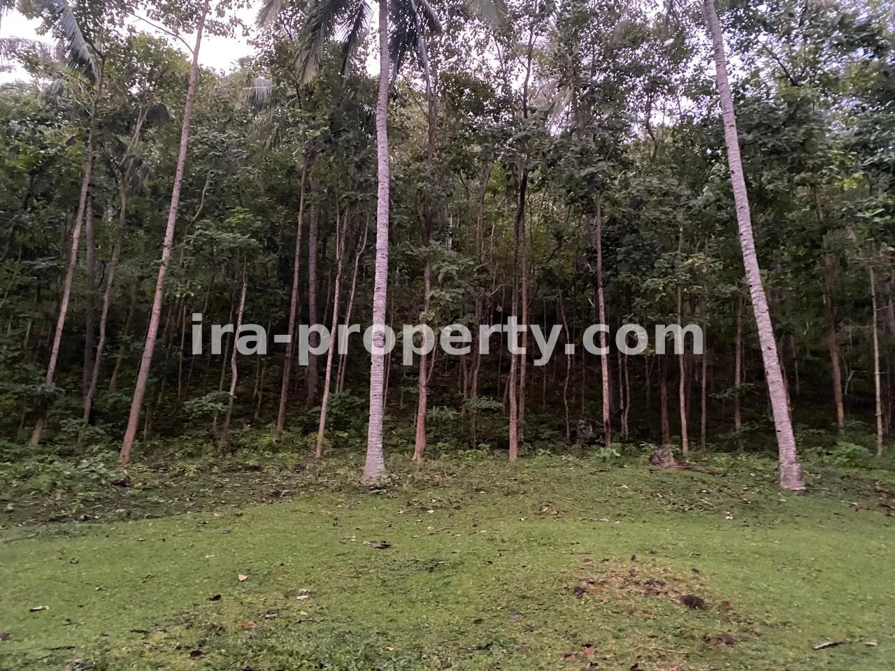 Land · North Lombok · photo 2 of 6 Land with ocean views in Stangi near Senggigi - 412 - 2