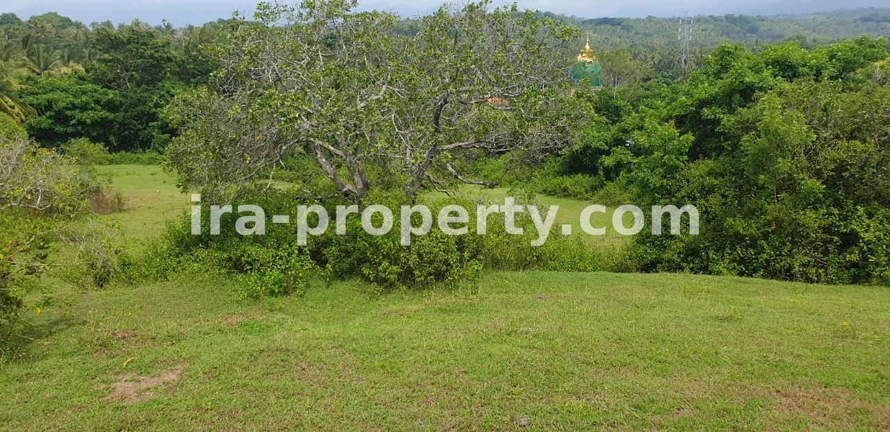 Land · North Lombok · photo 3 of 4 Land in Medana near Hotel The Jiwa and Hotel Oberoi - 237 - 3