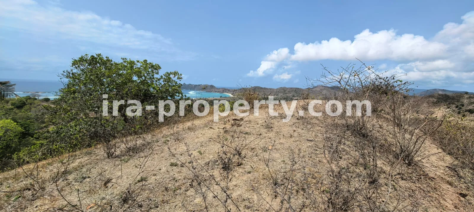 Full ocean view land in Buwun Mas is ideal for a villa - 560 - 10