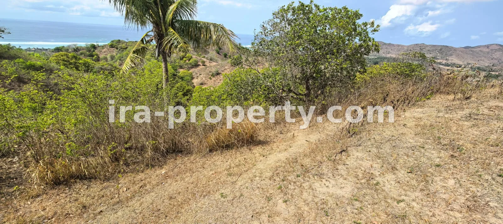Full ocean view land in Buwun Mas is ideal for a villa - 560 - 12