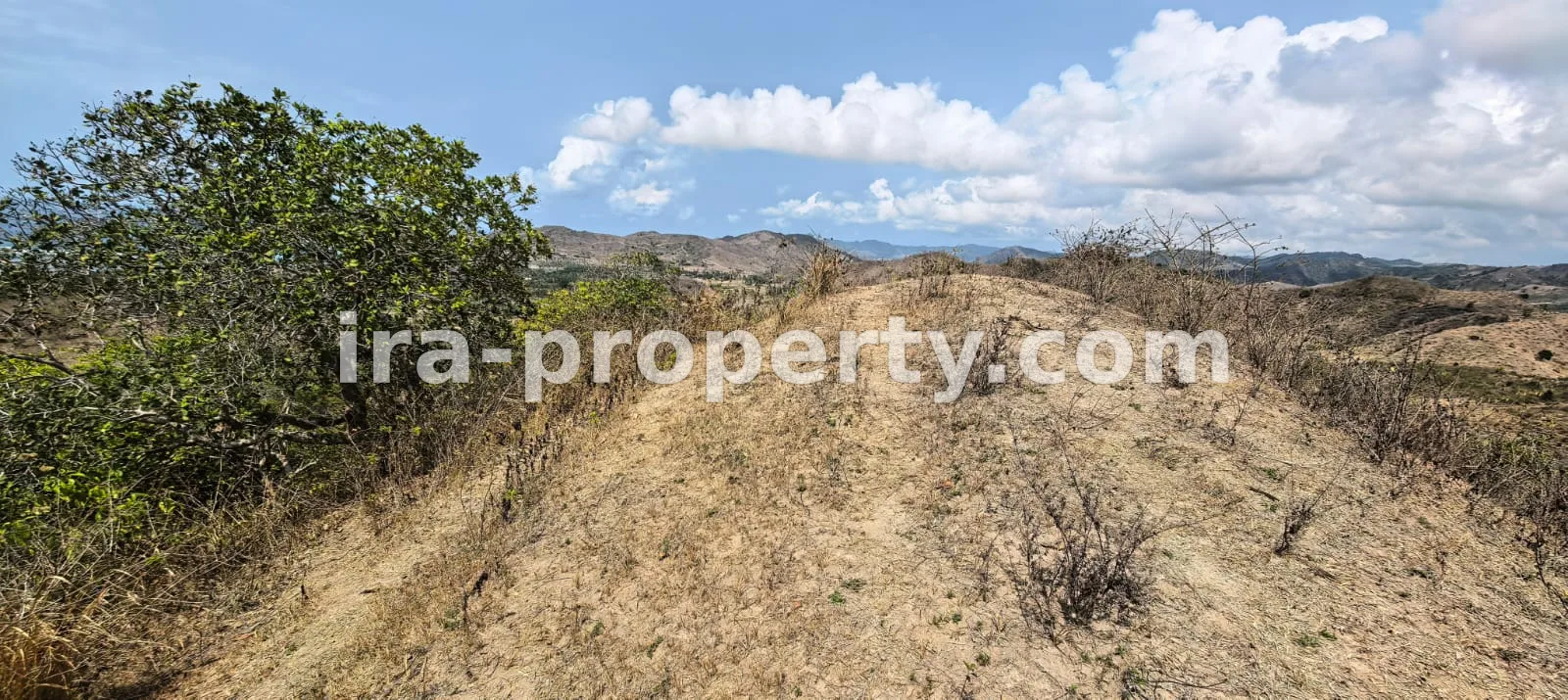 Full ocean view land in Buwun Mas is ideal for a villa - 560 - 13