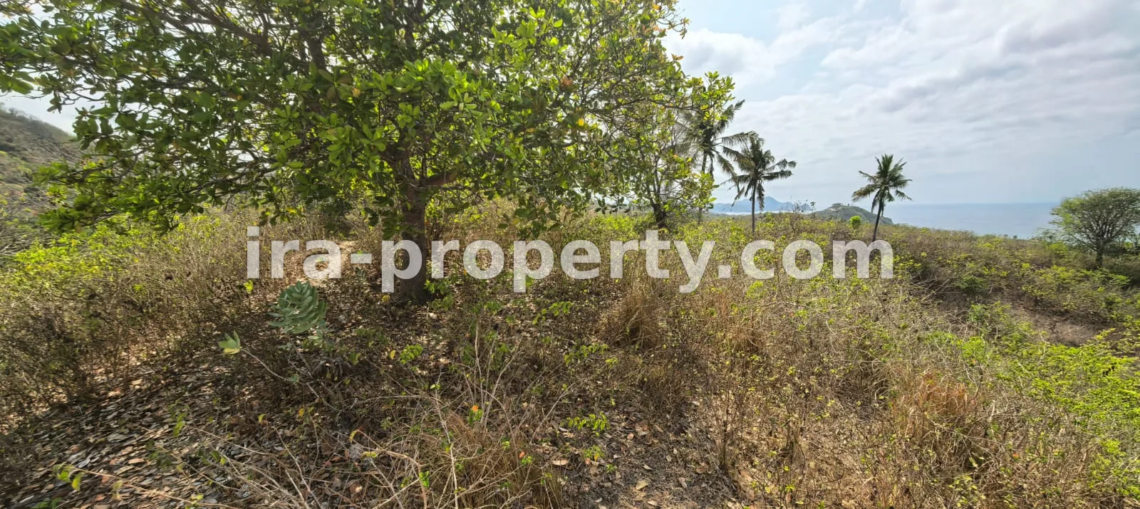 Full ocean view land in Buwun Mas is ideal for a villa - 560 - 14