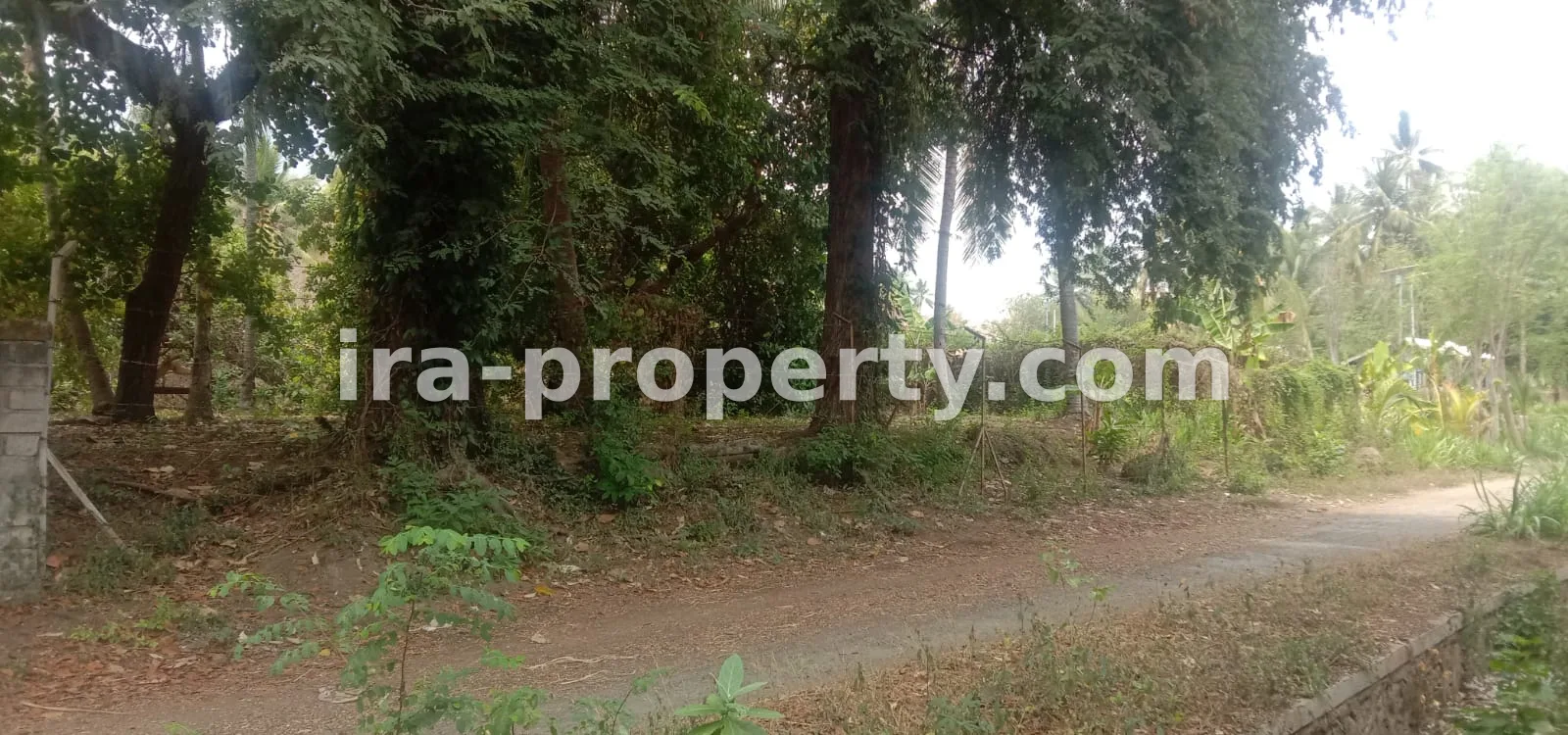 Tanah kebun di Sokong Tanjung kabupaten lombok utara - 410-4 - 7