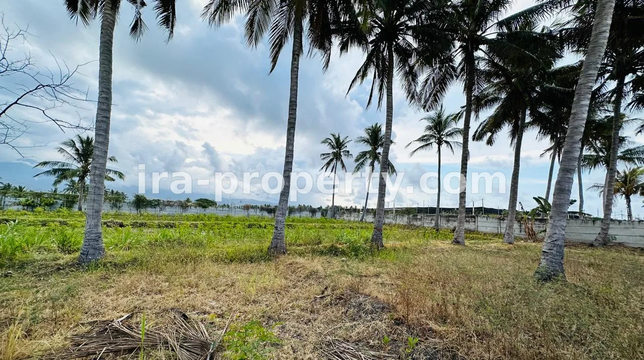 Tanah · Area Lombok Timur · foto 4 dari 7 Tanah pinggir pantai Labuan Pandan Lombok Timur cocok untuk tambak - 145 - 4
