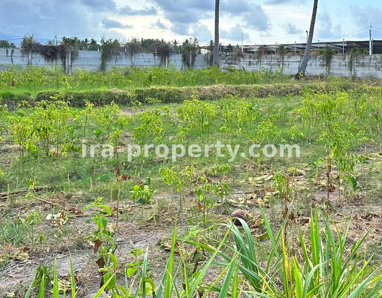 Tanah · Area Lombok Timur · foto 5 dari 7 Tanah pinggir pantai Labuan Pandan Lombok Timur cocok untuk tambak - 145 - 5