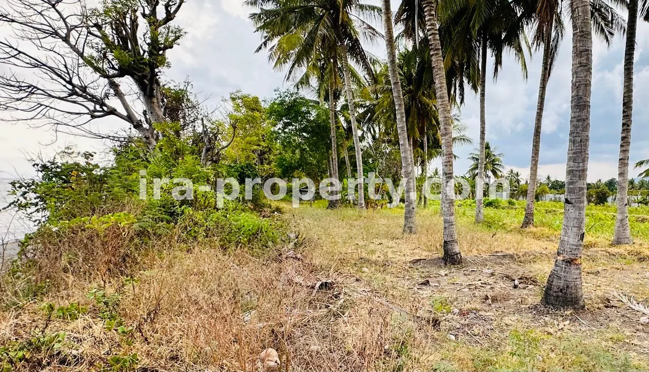 Tanah pinggir pantai Labuan Pandan Lombok Timur cocok untuk tambak - 145 - 6