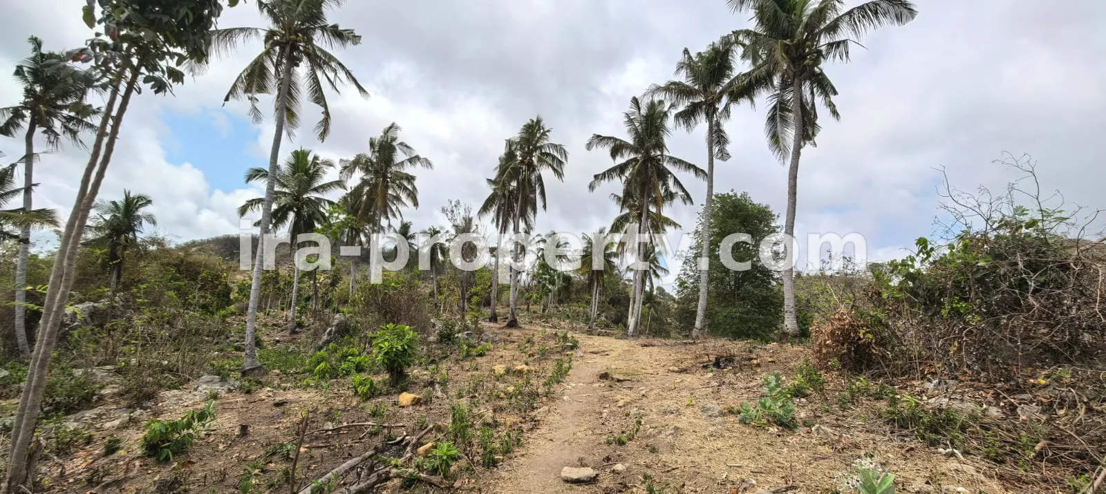 Tanah · Sekotong · foto 2 dari 19 Tanah view laut di Pengantap Buwun mas dekat Samara - 562 - 2