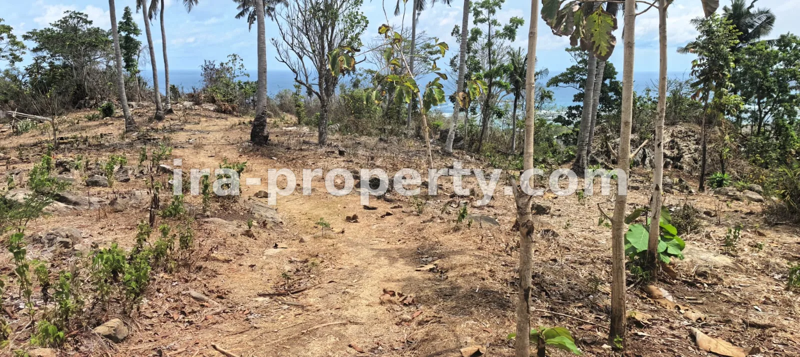 Tanah view laut di Pengantap Buwun mas dekat Samara - 562 - 16