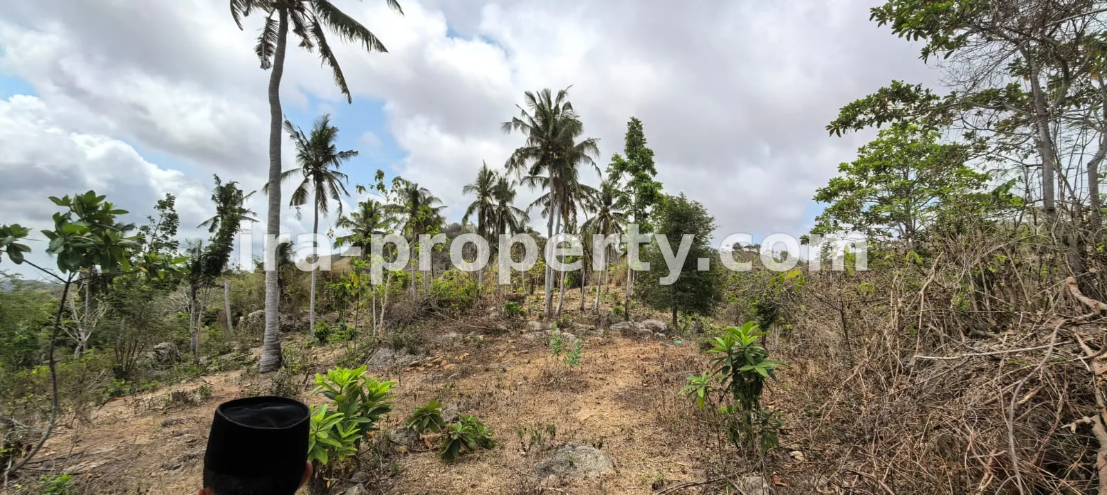Tanah · Sekotong · foto 5 dari 19 Tanah view laut di Pengantap Buwun mas dekat Samara - 562 - 5